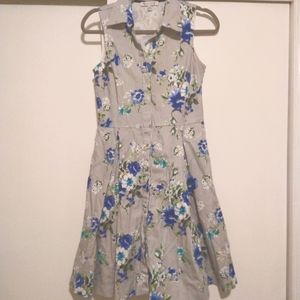 Sandra Darren floral and striped button down collared dress